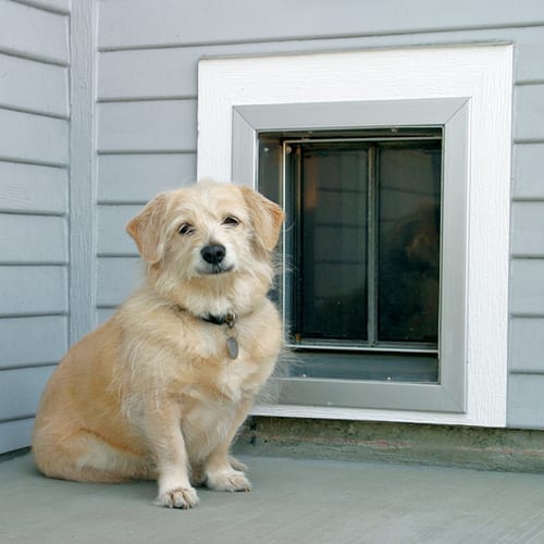 Can I Install a PlexiDor Under a Window? Questions PlexiDor